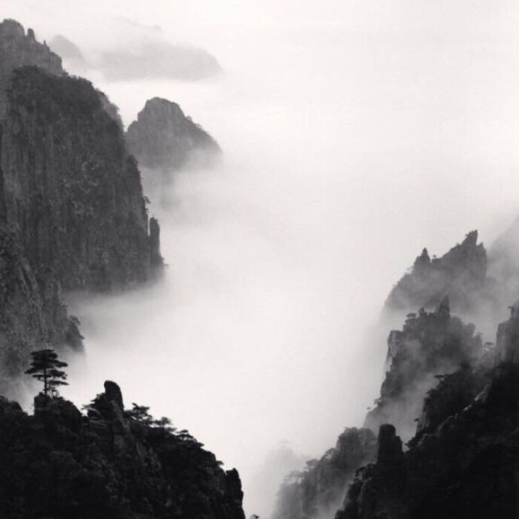 菱川直树 - 音乐MV高清在线观看 - 网络直播